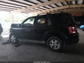 Photo 13 of 15 — 2010 Ford Escape