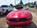 2010 Ford Mustang — photo 12 of 16 | VIN 1ZVBP8EN1A5167167