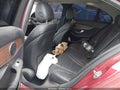 Photo 8 of 22 — 2020 Mercedes-Benz C-Class