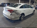 2017 Hyundai Sonata — photo 4 of 17 | VIN 5NPE24AF7HH484192