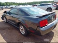 2007 Ford Mustang — photo 3 of 16 | VIN 1ZVFT80N875331088