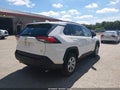 Photo 20 of 20 — 2019 Toyota RAV4
