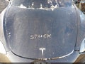 2021 Tesla Model 3 — photo 10 of 15 | VIN 5YJ3E1EB9MF995285