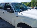 Photo 6 of 22 — 2014 Ford F-150