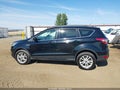 Photo 14 of 16 — 2018 Ford Escape
