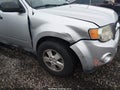 Photo 6 of 10 — 2010 Ford Escape
