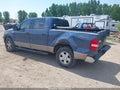 2004 Ford F-150 — photo 3 of 17 | VIN 1FTPW14514KC51256