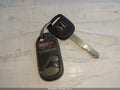 2009 Honda Element — photo 11 of 17 | VIN 5J6YH18349L003408