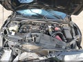 2019 Honda Civic — photo 10 of 16 | VIN 2HGFC2F81KH595046