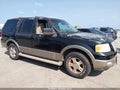 2003 Ford Expedition — photo 14 of 21 | VIN 1FMRU17W73LC51351