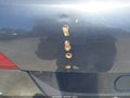 2017 Honda Pilot — photo 6 of 16 | VIN 5FNYF5H79HB023290