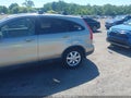 Photo 6 of 11 — 2007 Honda CR-V