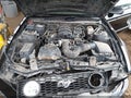 2008 Ford Mustang — photo 10 of 17 | VIN 1ZVHT80N885185110