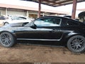 2008 Ford Mustang — photo 15 of 17 | VIN 1ZVHT80N885185110