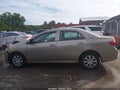 2010 Toyota Corolla — photo 19 of 19 | VIN 2T1BU4EE3AC377258