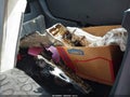 Photo 12 of 12 — 2013 Kia Rio