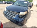 Photo 6 of 16 — 2009 Hyundai Santa Fe