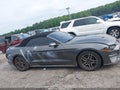 2019 Ford Mustang — photo 13 of 16 | VIN 1FATP8UH1K5138665