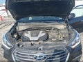 2017 Hyundai Santa Fe — photo 10 of 16 | VIN KM8SM4HF1HU192462