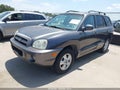 2005 Hyundai Santa Fe — photo 2 of 12 | VIN KM8SC73D85U863597