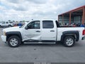 2009 Chevrolet Silverado 1500 — photo 14 of 16 | VIN 3GCEK23359G260842