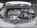 2018 Chevrolet Malibu Limited — photo 10 of 16 | VIN 1G1ZD5ST8JF193635
