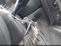 Photo 11 of 11 — 1999 Jeep Grand Cherokee