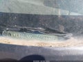 1994 Jeep Grand Cherokee — photo 9 of 11 | VIN 1J4GZ58Y9RC209741
