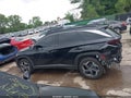2024 Hyundai Tucson Hybrid — photo 14 of 16 | VIN KM8JECD13RU222124
