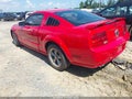 2006 Ford Mustang — photo 3 of 16 | VIN 1ZVHT82H965118469