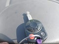 Photo 11 of 11 — 2012 Ford Escape