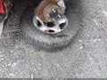 Photo 12 of 17 — 2001 Toyota Tacoma
