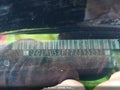 2007 Chevrolet Cobalt — photo 9 of 11 | VIN 1G1AL58F177193237