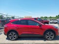 Photo 13 of 17 — 2022 Ford Escape