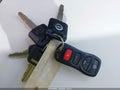 2004 Nissan Maxima — photo 11 of 12 | VIN 1N4BA41E84C901456