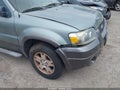 Photo 6 of 12 — 2005 Ford Escape