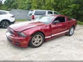 2014 Ford Mustang — photo 2 of 17 | VIN 1ZVBP8AM8E5305726