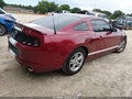 2014 Ford Mustang — photo 4 of 17 | VIN 1ZVBP8AM8E5305726