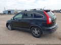 Photo 14 of 16 — 2010 Honda CR-V