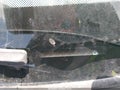 Photo 9 of 16 — 2009 Honda Accord