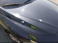 2023 Chevrolet Malibu — photo 20 of 21 | VIN 1G1ZD5ST0PF208847