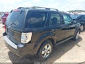 Photo 4 of 11 — 2011 Ford Escape