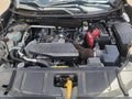 Photo 10 of 16 — 2024 Nissan Rogue Sport