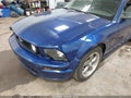 2005 Ford Mustang — photo 6 of 18 | VIN 1ZVHT85H355193338