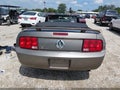 2005 Ford Mustang — photo 17 of 17 | VIN 1ZVFT84N955232299