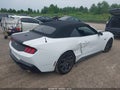 2024 Ford Mustang — photo 4 of 16 | VIN 1FAGP8FFXR5119460