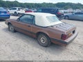Photo 3 of 17 — 1983 Ford Mustang