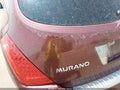 Photo 12 of 14 — 2007 Nissan Murano