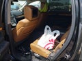 Photo 8 of 10 — 2012 Lincoln MKT