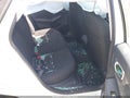Photo 8 of 22 — 2026 Honda Civic